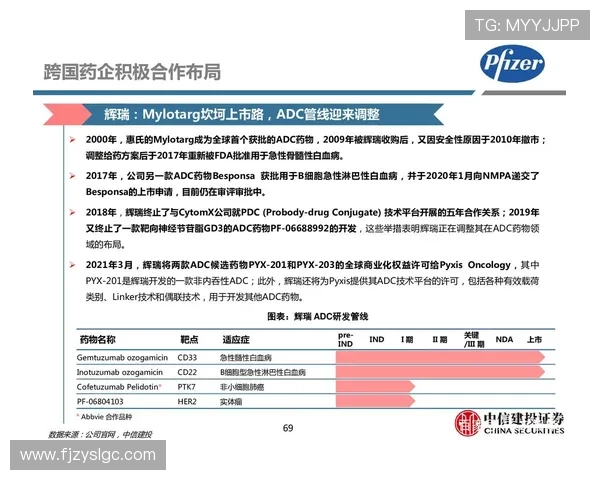 南京乒乓球队灵活性分析与战术调整的深度探讨与研究